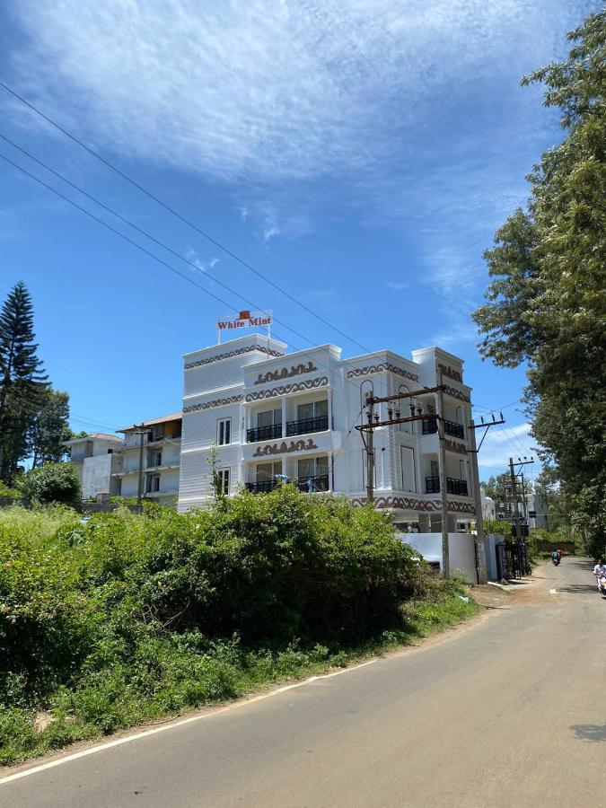 White Mint Hotel 3*